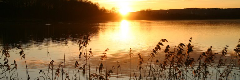 Oberrieder Weiher_Sonnenuntergang